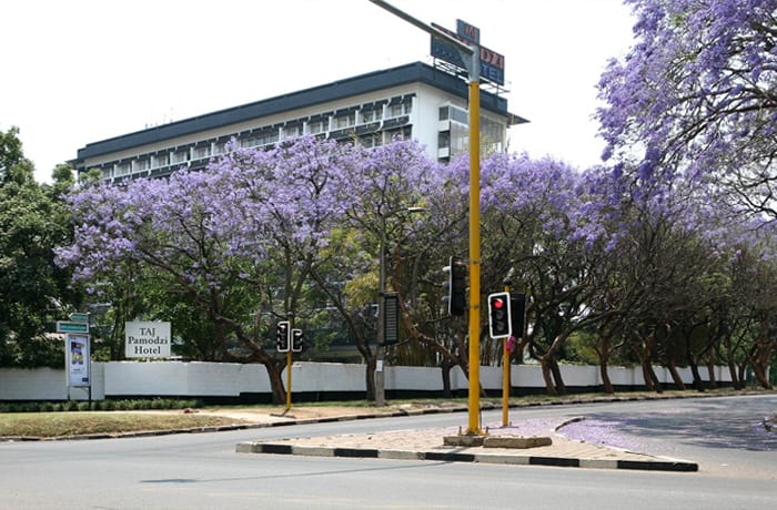 Taj Pamodzi Lusaka image