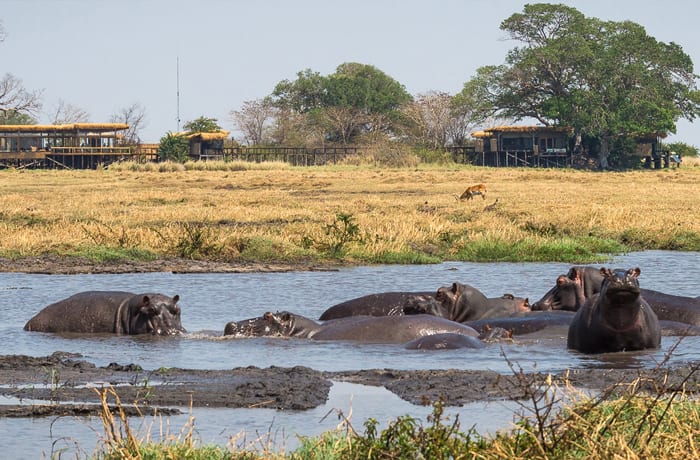 Safari camps image