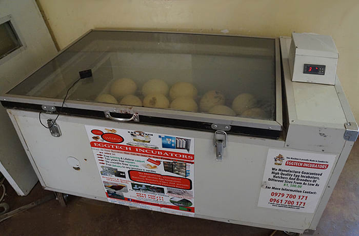 Eggtech Incubators image