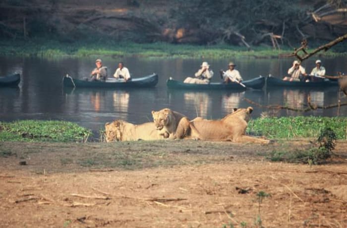 Safaris image