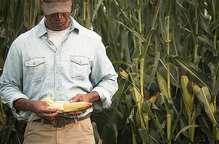 Agricultural consultants image