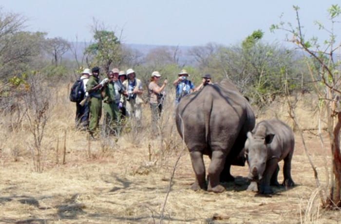 Animal encounter image