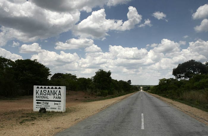 Kasanka Trust image