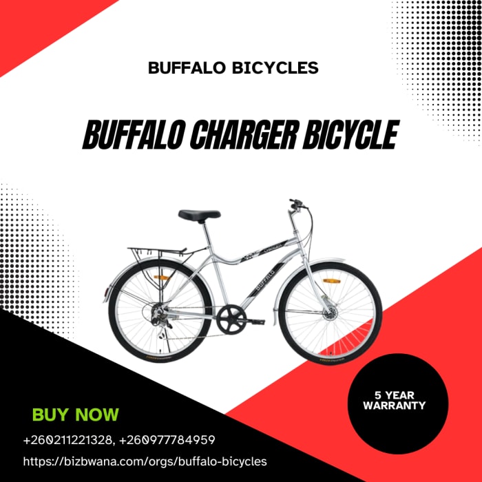 Buffalo Charger Bicycle