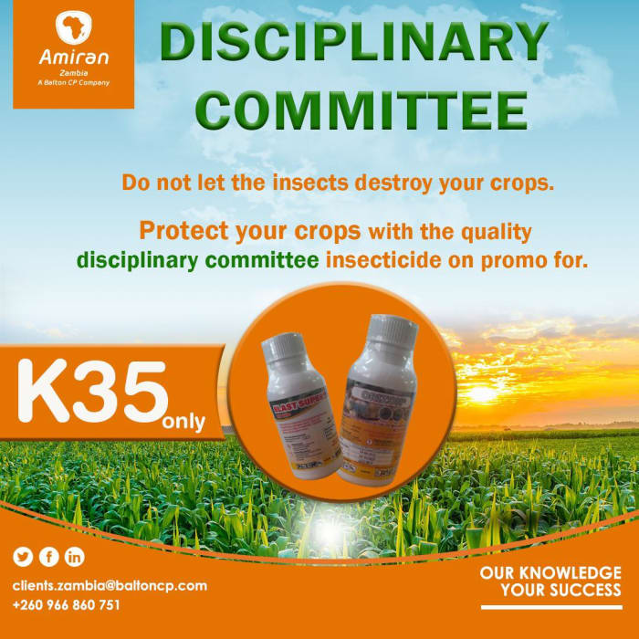 K35 gets you 100mls of quality insecticide