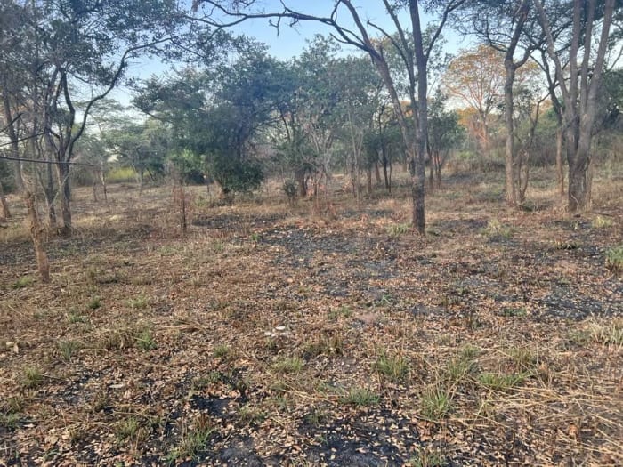 Land for sale in Meanwood Nkosi