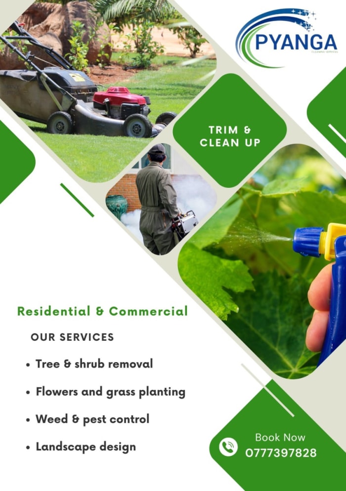 Expert trimming and cleanup for residential and commercial properties