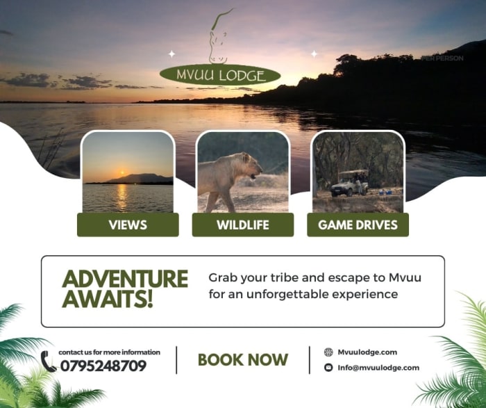 Grab your tribe and escape to Mvuu for an unforgettable experience 