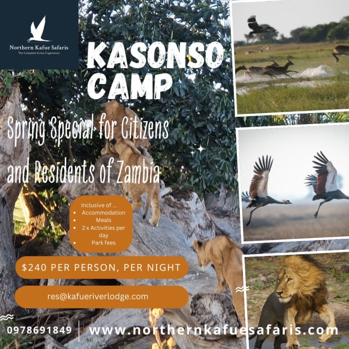 Spring special for citizens and residents for Zambia