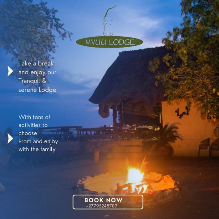 Escape to the wild!