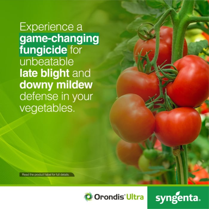Protect crops from late blight and downy mildew with Orondis Ultra!