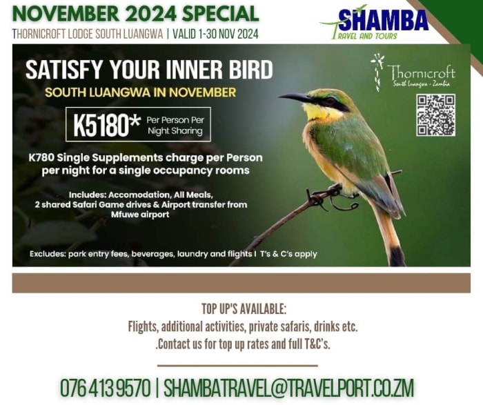 South Luangwa NOVEMBER DEAL - Thornicroft Lodge