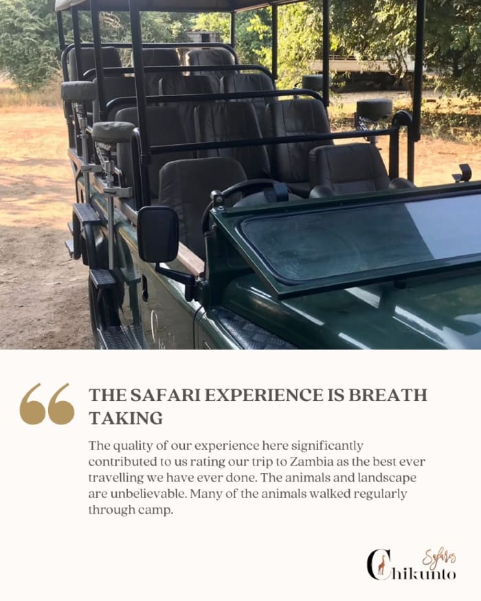 Game drives and walking safaris meticulously planned to fully engage your senses