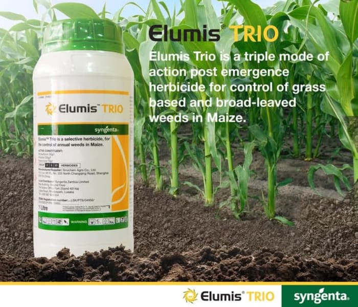 Maximize your Maize yield with Elumis Trio!