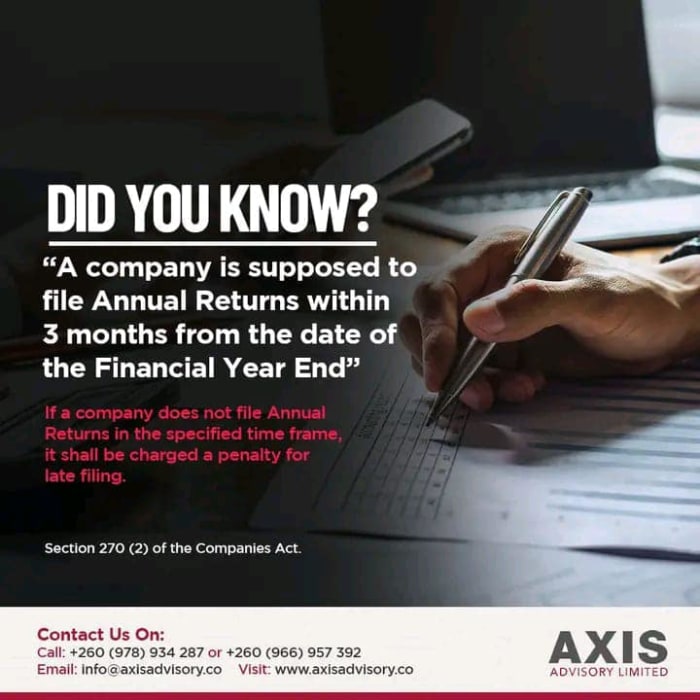 We support international companies and investors