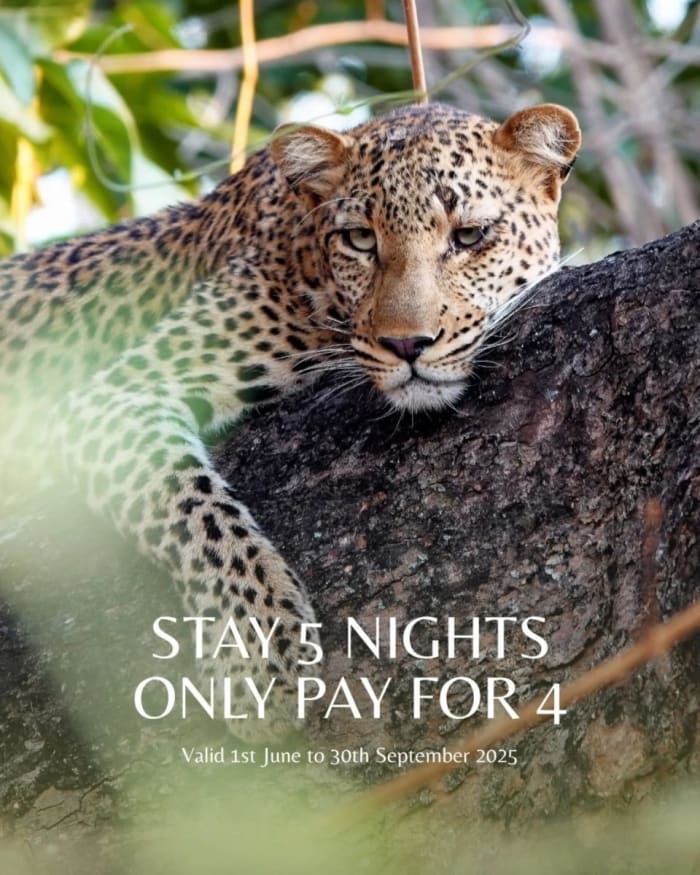 Book 5 nights @chikuntosafarilodge and receive the 5th night FREE. 