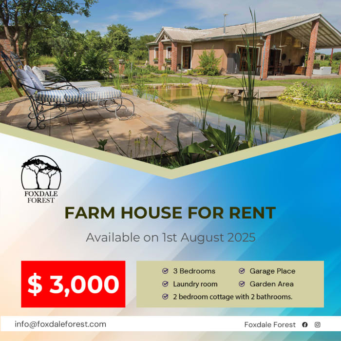 RENT IN FOXDALE FOREST 🌳