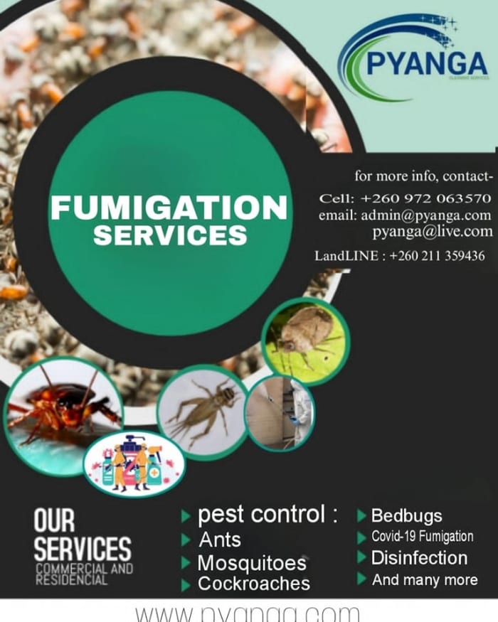 Protect Your Space with Proven Pest Control
