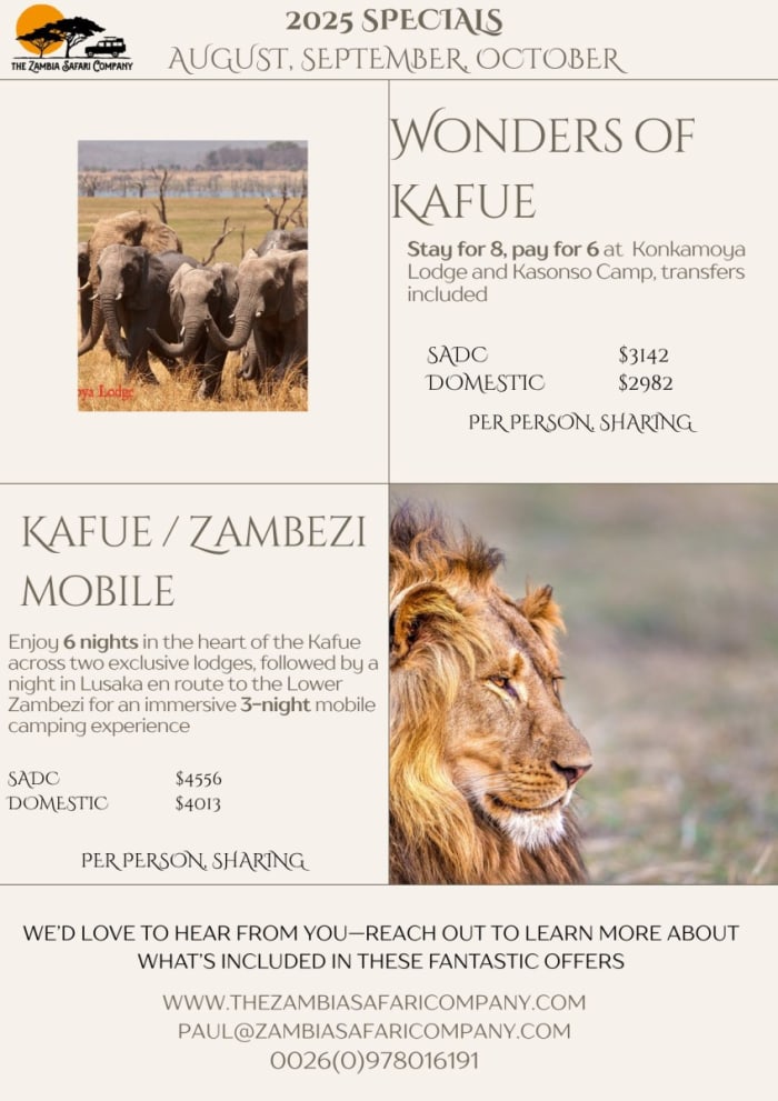 2025 Safari specials – discover Zambia’s wild beauty!
