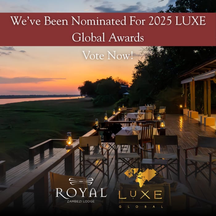 Royal Zambezi Lodge Nominated for 2025 LUXE Global Awards!