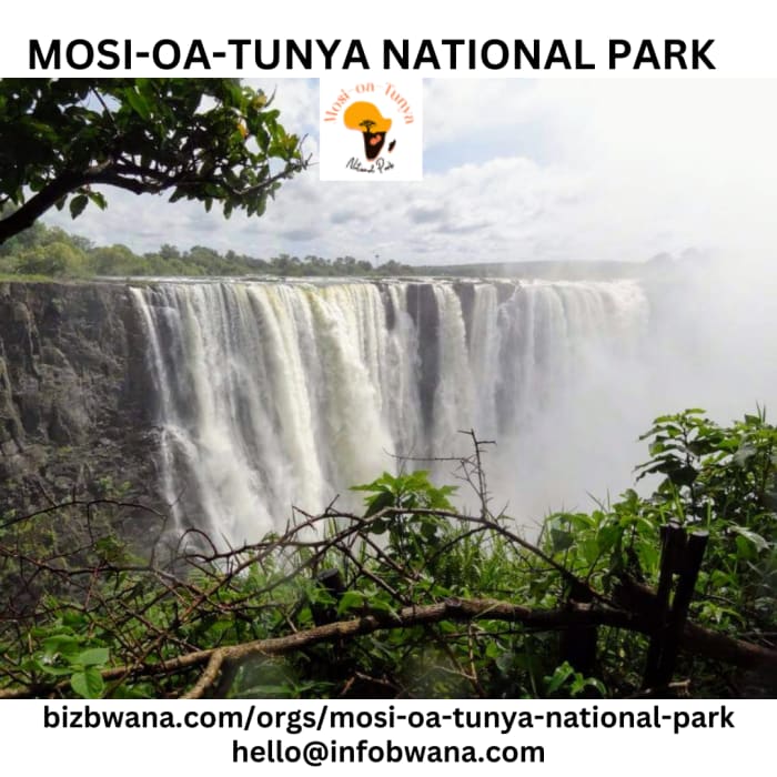 Mosi-Oa-Tunya National Park is located near Livingstone in Zambia and is renowned for its stunning natural beauty and diverse wildlife.