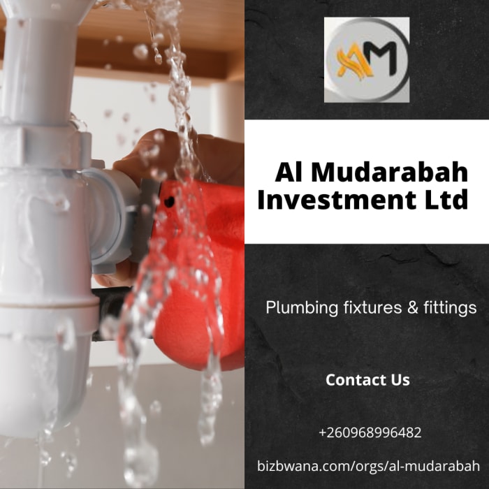 Plumbing fixtures & fittings