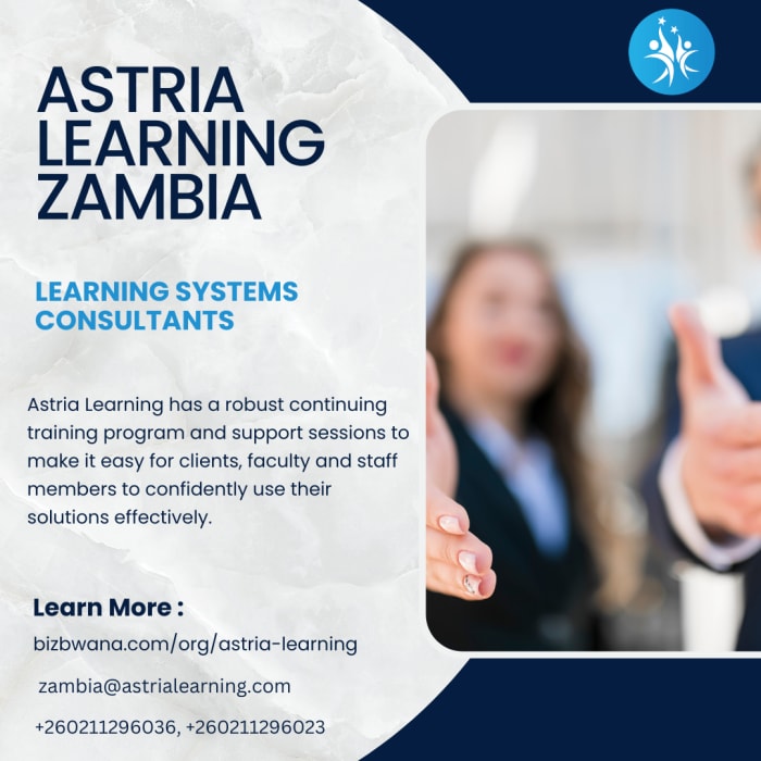 Learning systems consultants