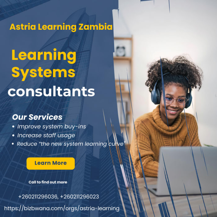 Learning systems consultants