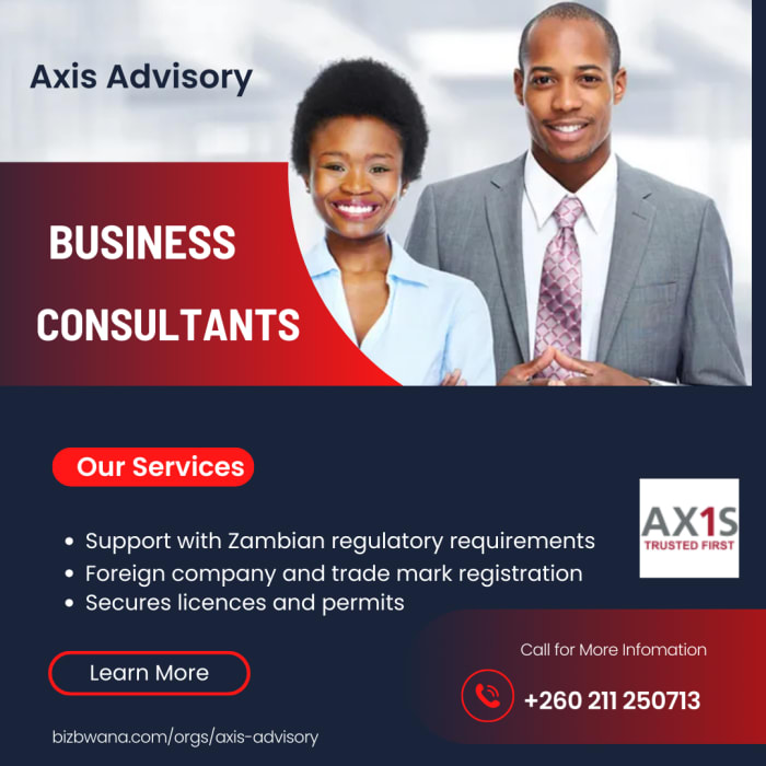 Business consultants