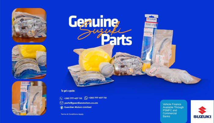 Looking for genuine Suzuki DR200 service parts?