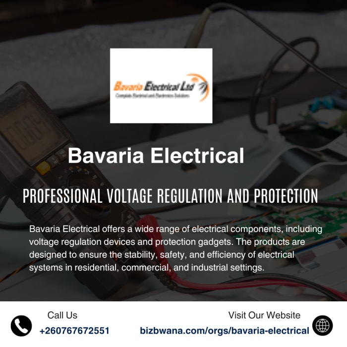 Professional voltage regulation and protection