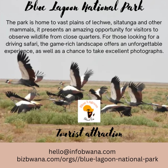 Blue Lagoon National Park is a stunning tourist destination located in Nampundwe, Zambia. 