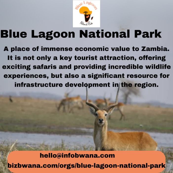  Blue Lagoon National Park is situated south, near the Kafue River in Zambia. 