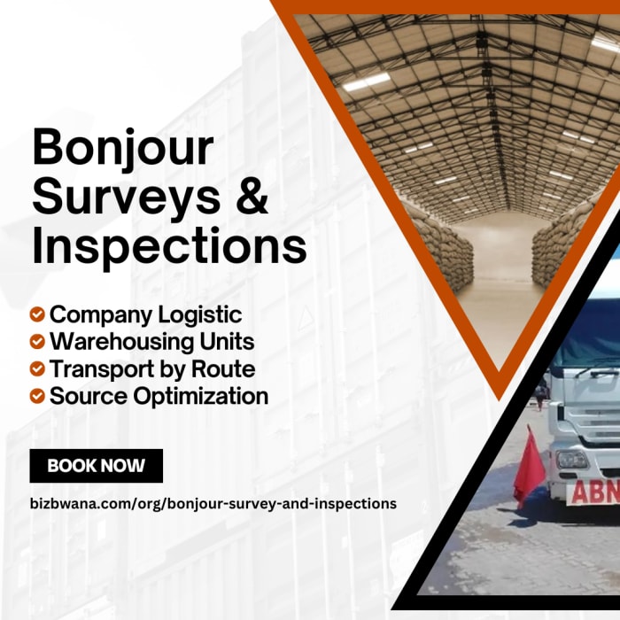 Cargo Survey and Inspection Services