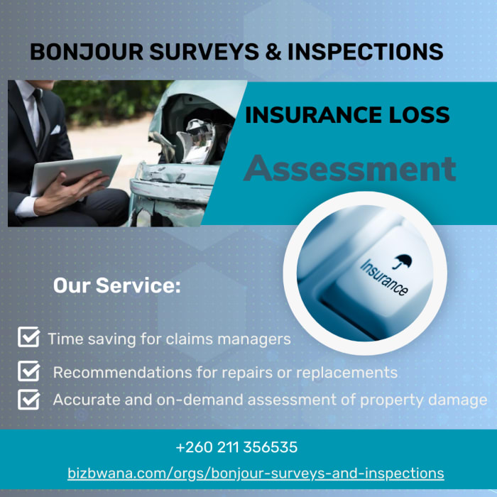 Professional damage assessment services