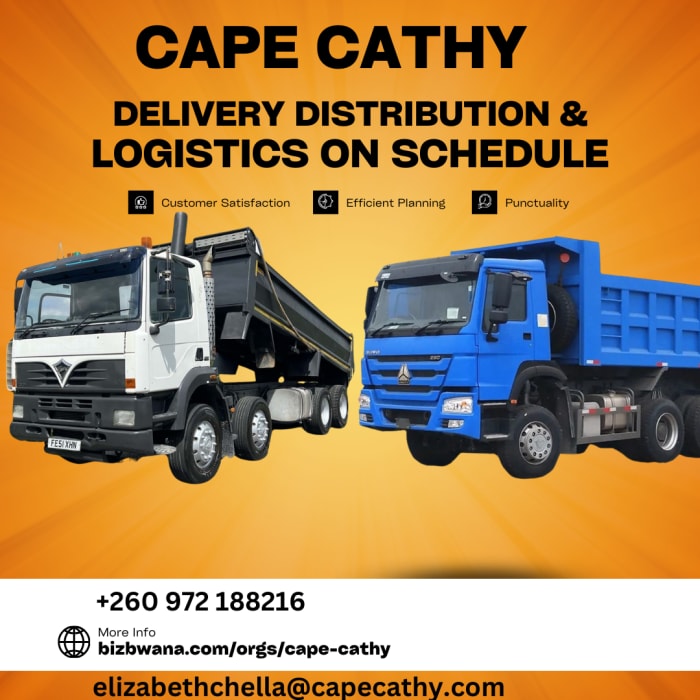 Cape Cathy Logistics: Pioneering Excellence in Cargo Transportation