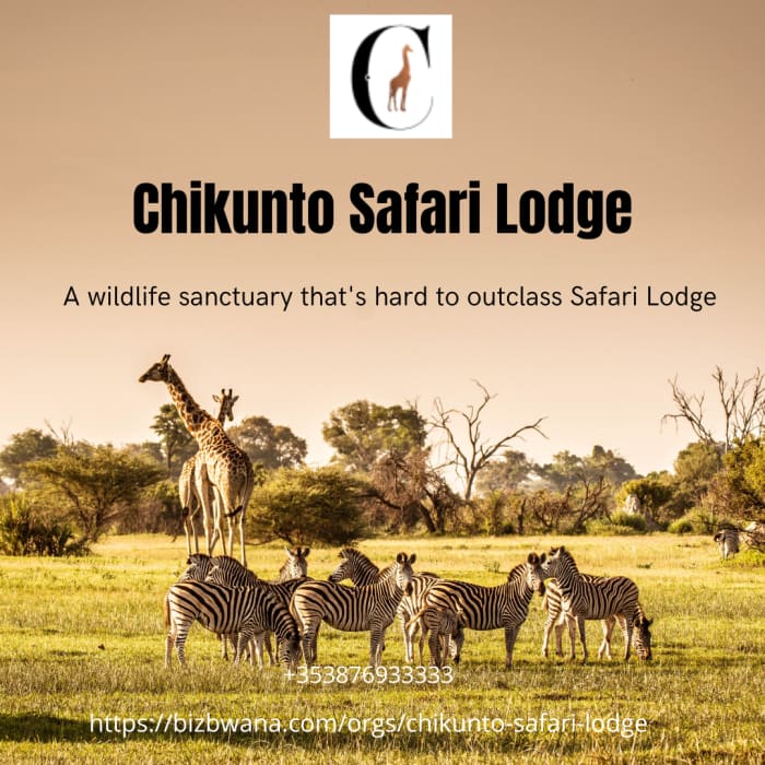 Set in South Luangwa National Park, a wildlife sanctuary that's hard to outclass