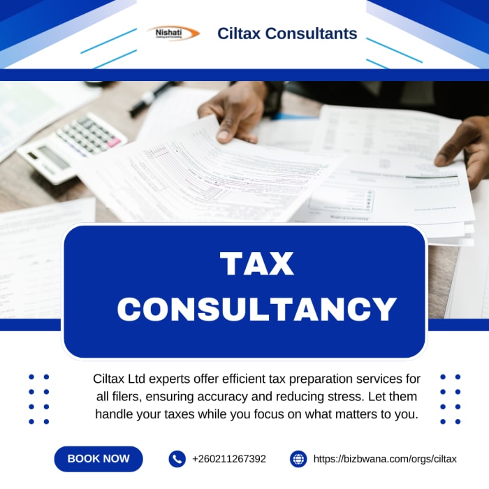 Tax consultancy servicing