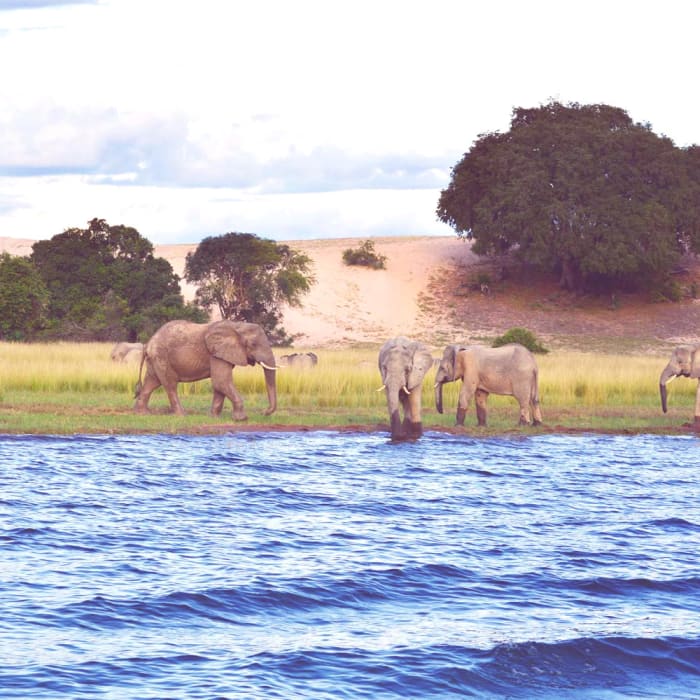 Conservation Lake Tanganyika plays a crucial role in preserving our natural resources.