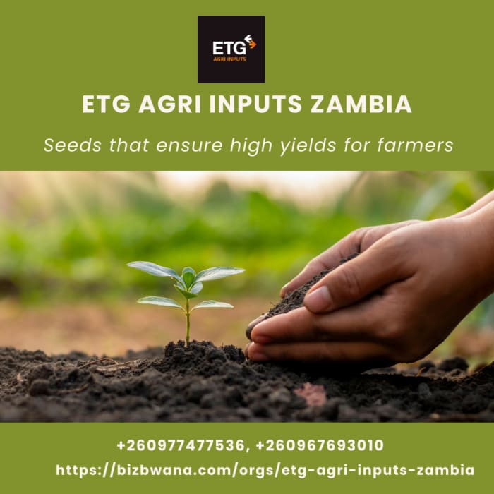 ETG Agri Inputs Zambia offers you the best seed varieties on the market 