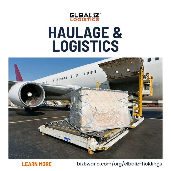 Your Trusted Partner for Quick and Reliable Cargo Transport in Tanzania 