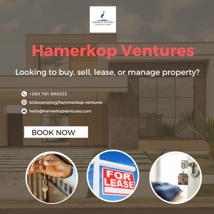 Expert property brokerage and management services