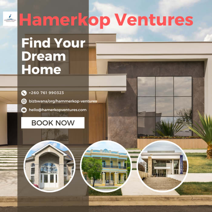 Hammerkop, interests in Real Estate, Logistics, and Software Solutions