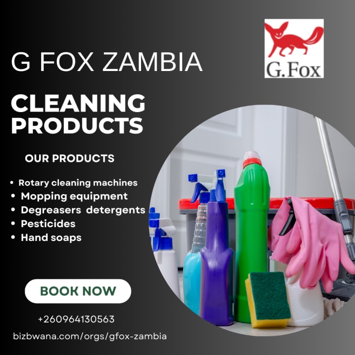 Environmentally friendly cleaning products