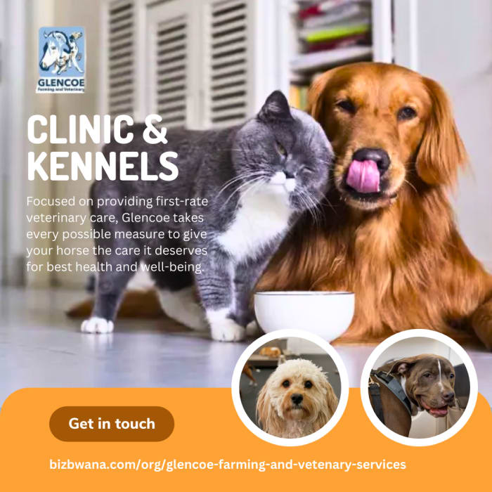 Your Pet's Health and Happiness is Our Priority!