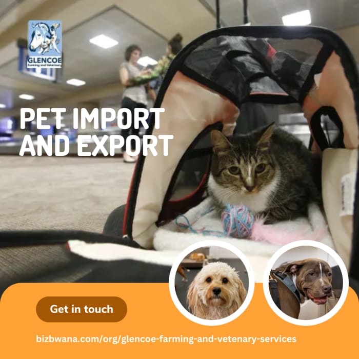 Pet Import & Export 