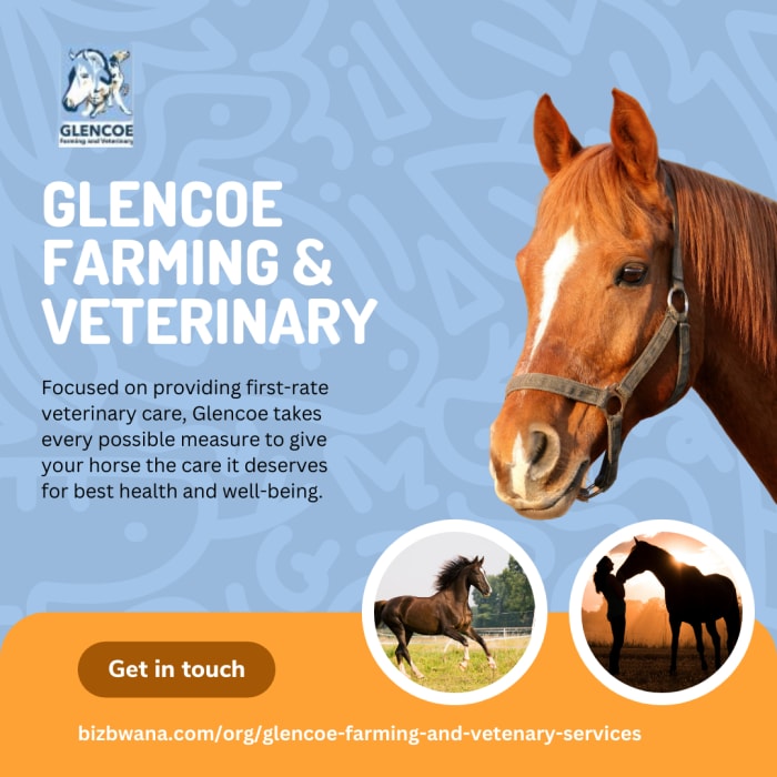 Exceptional Horse Veterinary Care!