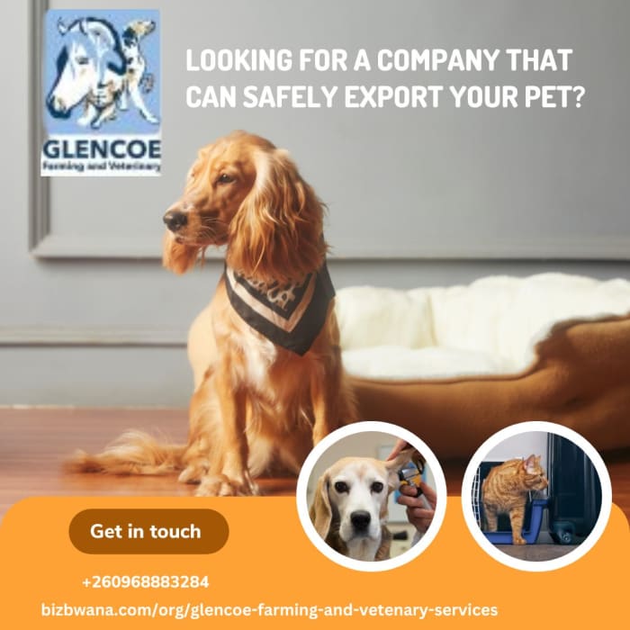 Pet import and export