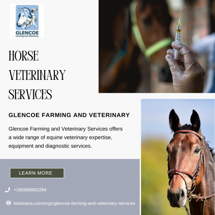 A modern and progressive full service veterinary clinic