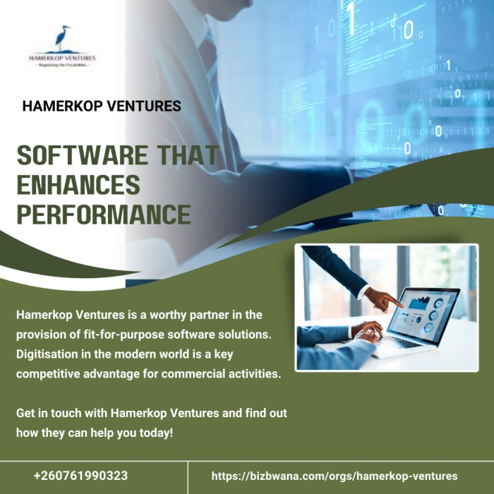 Software that enhances performance